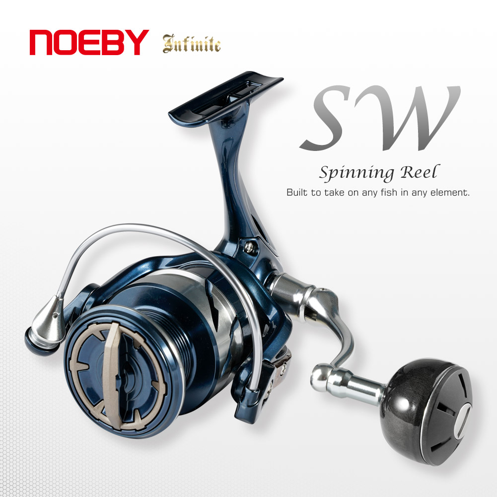 Daiwa Reel Bg - Noeby INFINITE SW Salzwasser-Spinnrolle 2500-10000 Serie